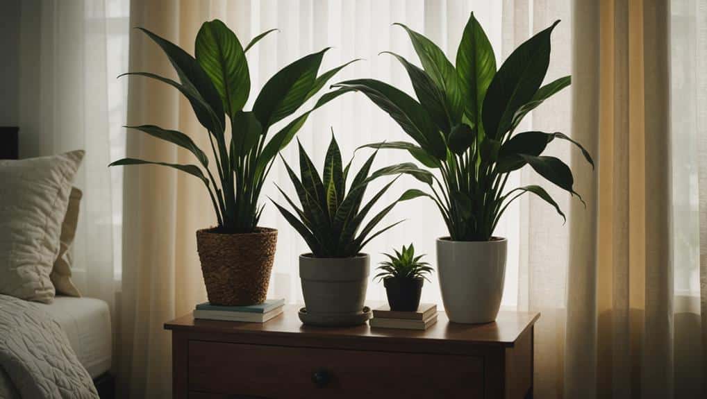 best air purifying bedroom plants