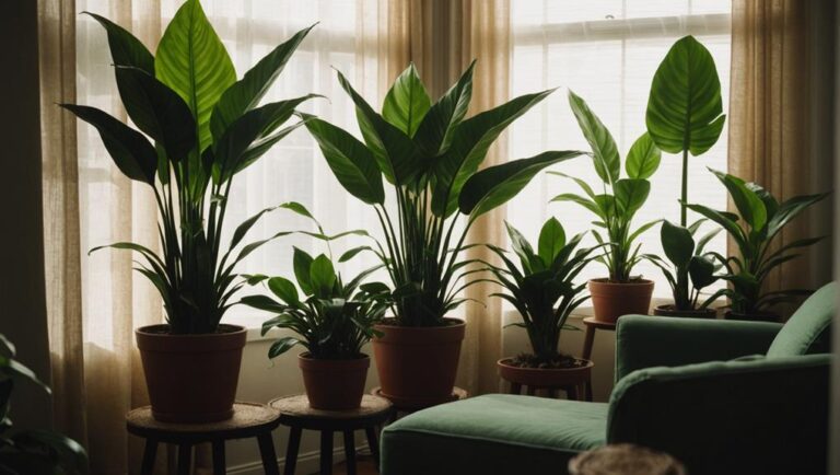 low light apartment plants guide