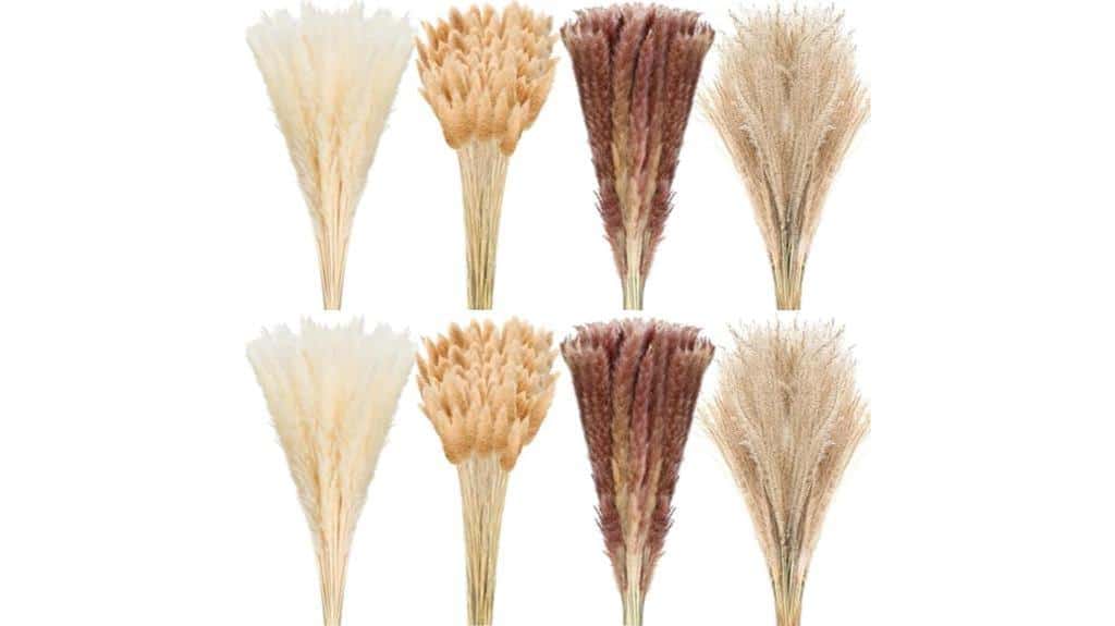 pampas grass home decor