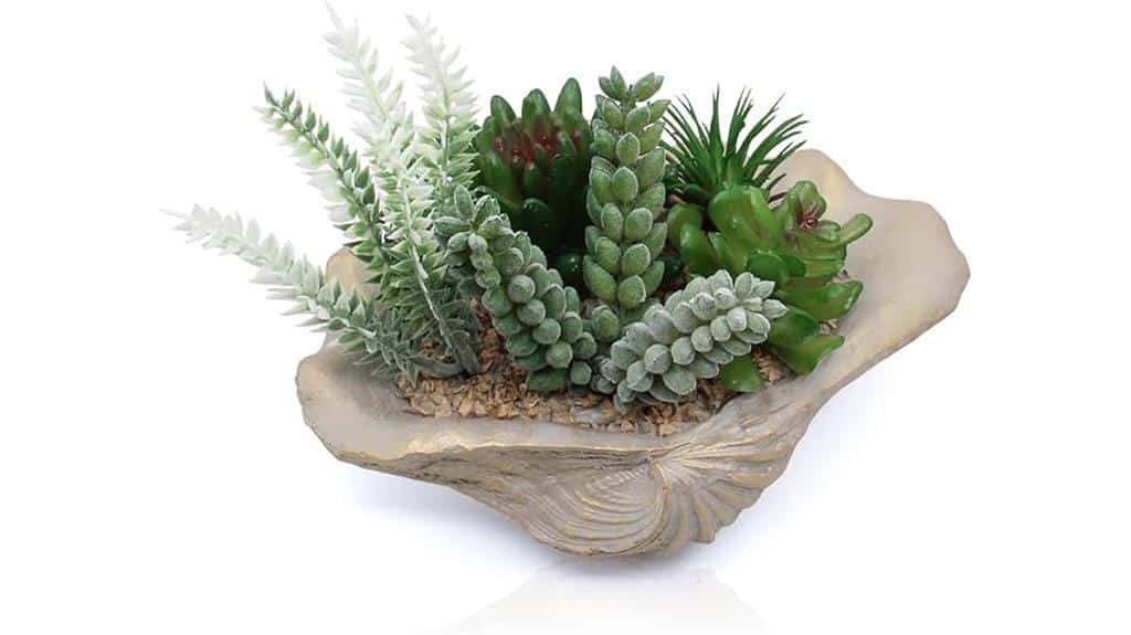 seashell bowl with succulents